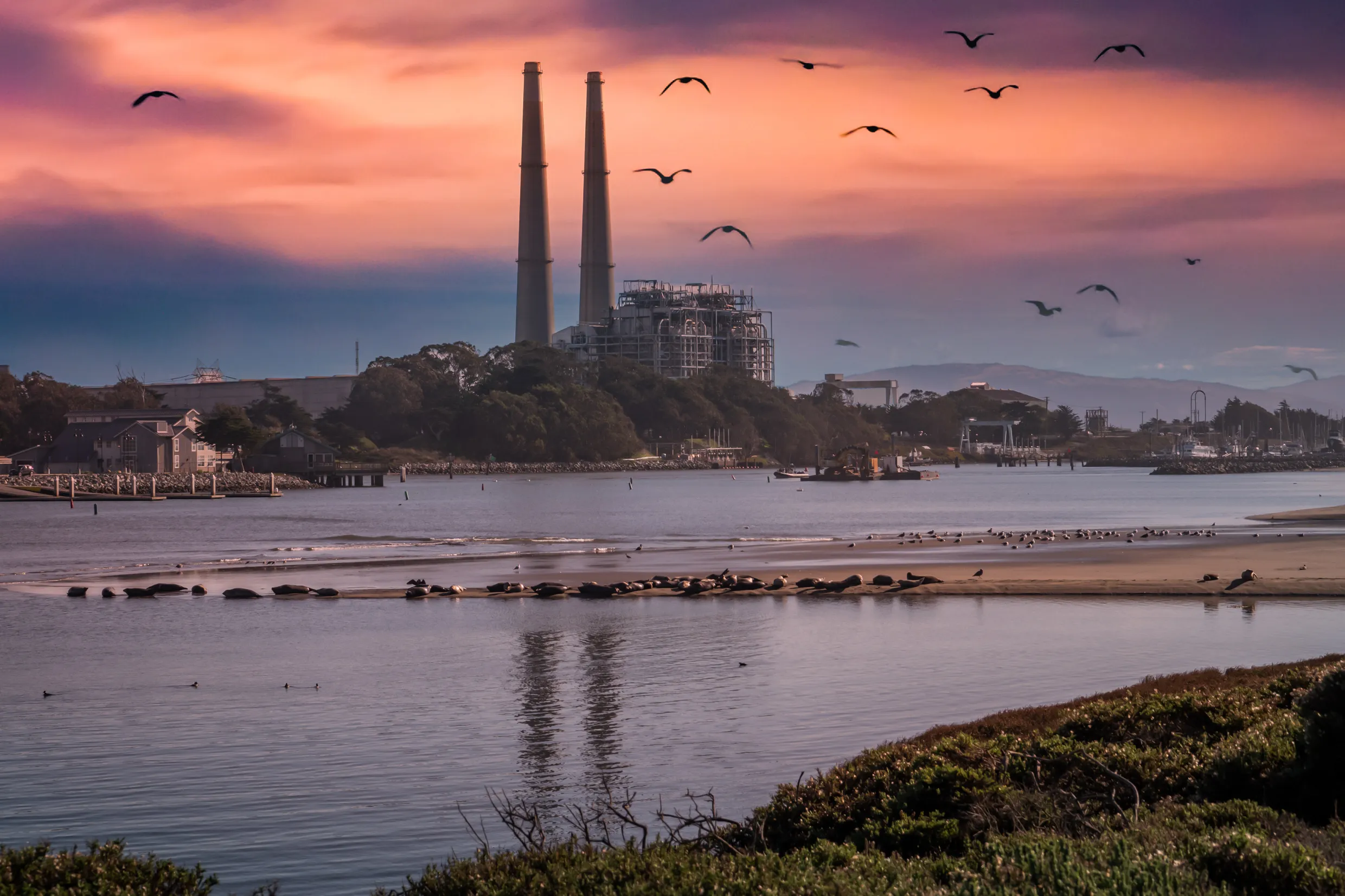 Sunset image of Moss Landing Harbor and natural gas power plant, with harbor seals and seagulls on a protected beach,